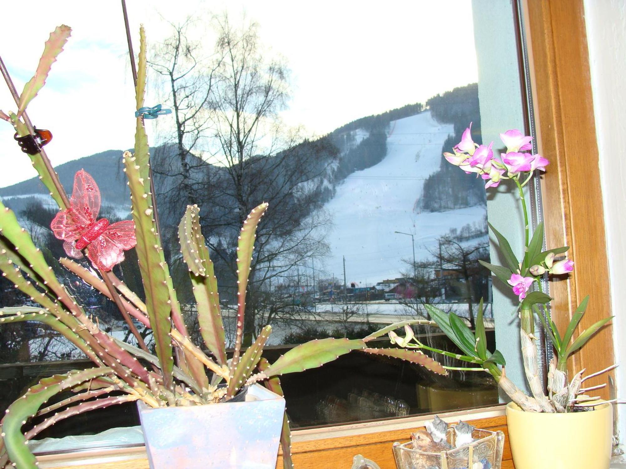 Appartement-Reiteralm Schladming Exterior photo